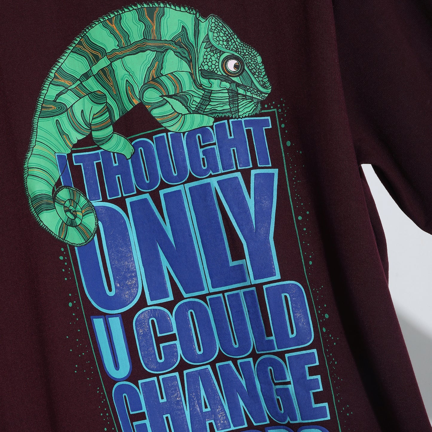 Chameleon Sweatshirt